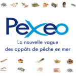 Appats Pexeo Meka Nautique Locquirec